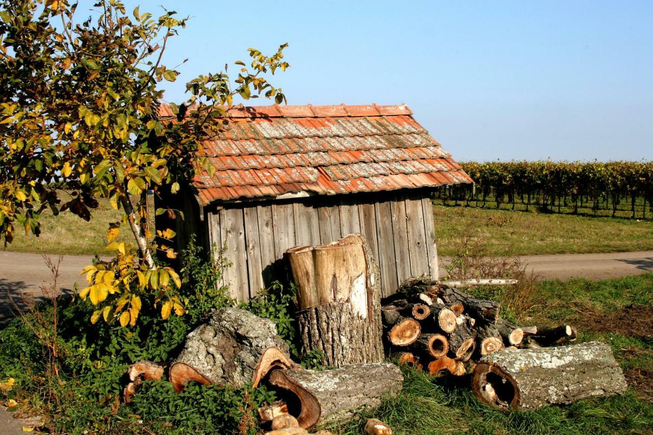Weingut Breitenfelder Retz Exteriör bild