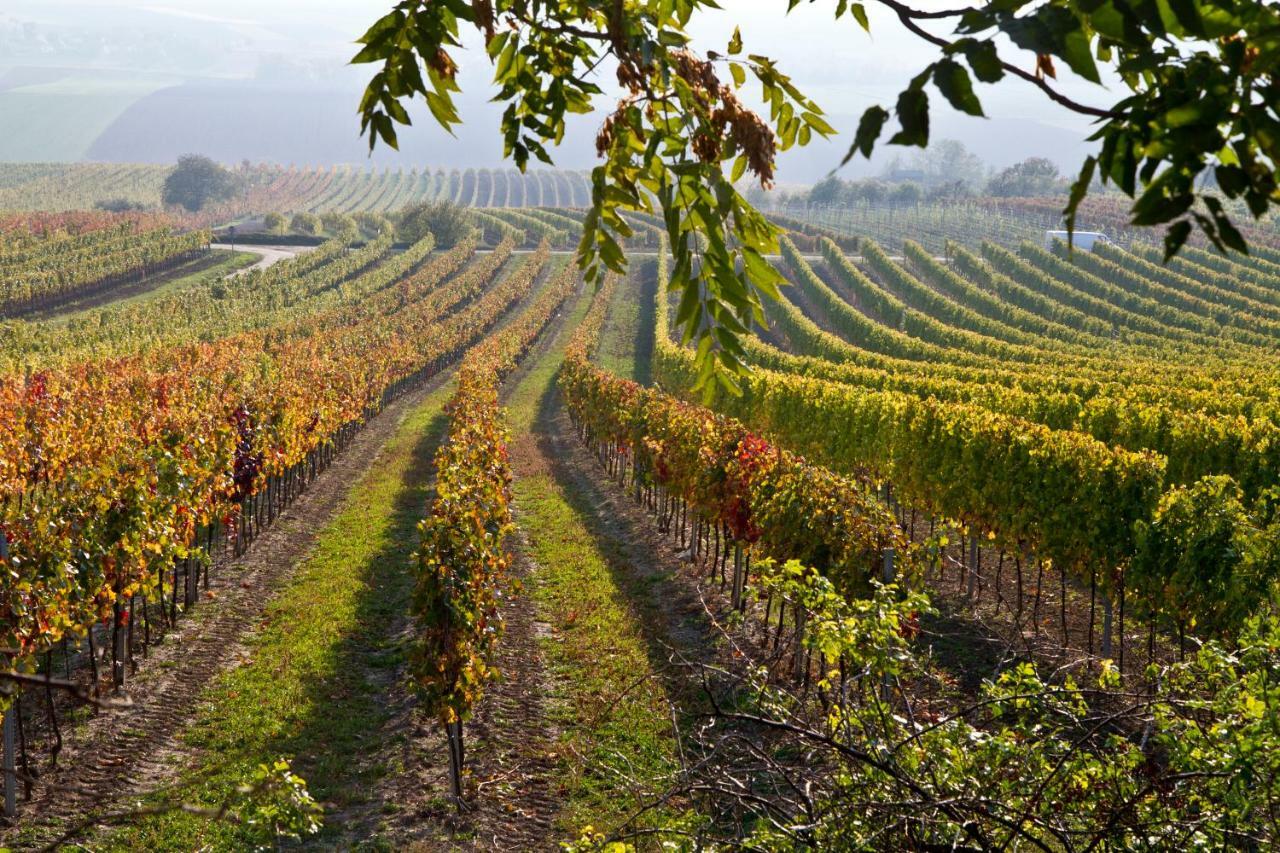 Weingut Breitenfelder Retz Exteriör bild